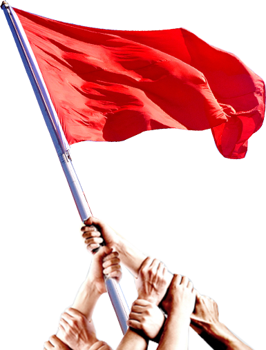 福鼎市鸿霆信息服务有限公司